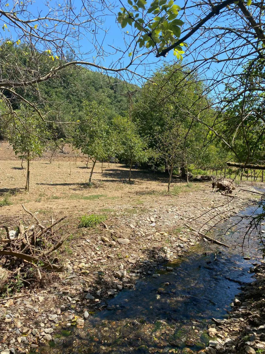 ACİL SATILIK MANİSA / TURGUTLU KUŞLAR MAHALLESİ  2.560 m² TEK TAPU CEVİZLİK BAHÇE - Fotoğraf 1