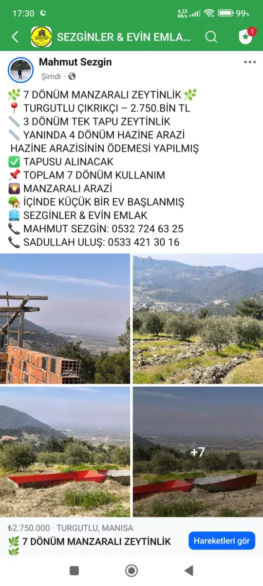 TURGUTLU ÇIKRIKÇI   7 DÖNÜM MANZARALI ZEYTİNLİK - Fotoğraf 9