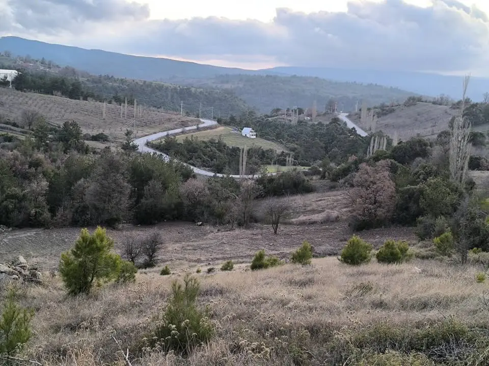 HACI KÖSELİ ACİL SATILIK FIRSAT TEK TAPU 7 DÖNÜM ARAZİ - Fotoğraf 1