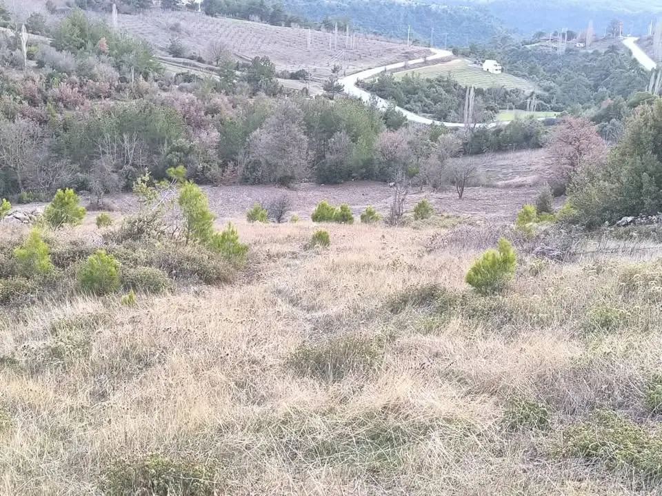 HACI KÖSELİ ACİL SATILIK FIRSAT TEK TAPU 7 DÖNÜM ARAZİ - Fotoğraf 3