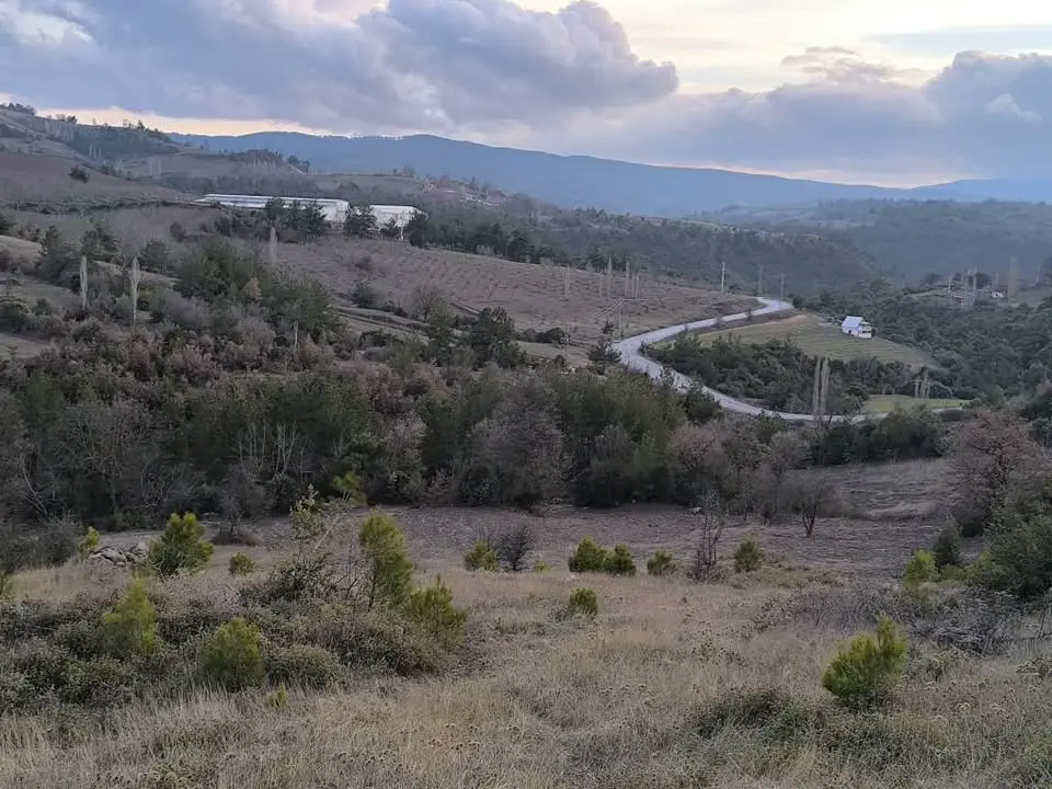 HACI KÖSELİ ACİL SATILIK FIRSAT TEK TAPU 7 DÖNÜM ARAZİ - Fotoğraf 4