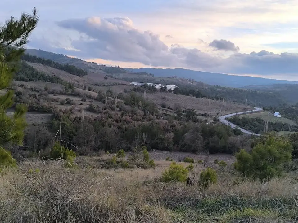 HACI KÖSELİ ACİL SATILIK FIRSAT TEK TAPU 7 DÖNÜM ARAZİ - Fotoğraf 5