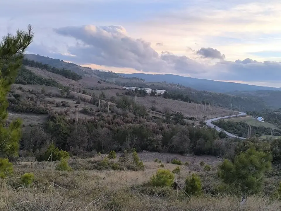 HACI KÖSELİ ACİL SATILIK FIRSAT TEK TAPU 7 DÖNÜM ARAZİ - Fotoğraf 7