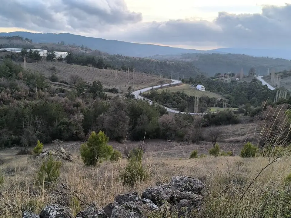 HACI KÖSELİ ACİL SATILIK FIRSAT TEK TAPU 7 DÖNÜM ARAZİ - Fotoğraf 10